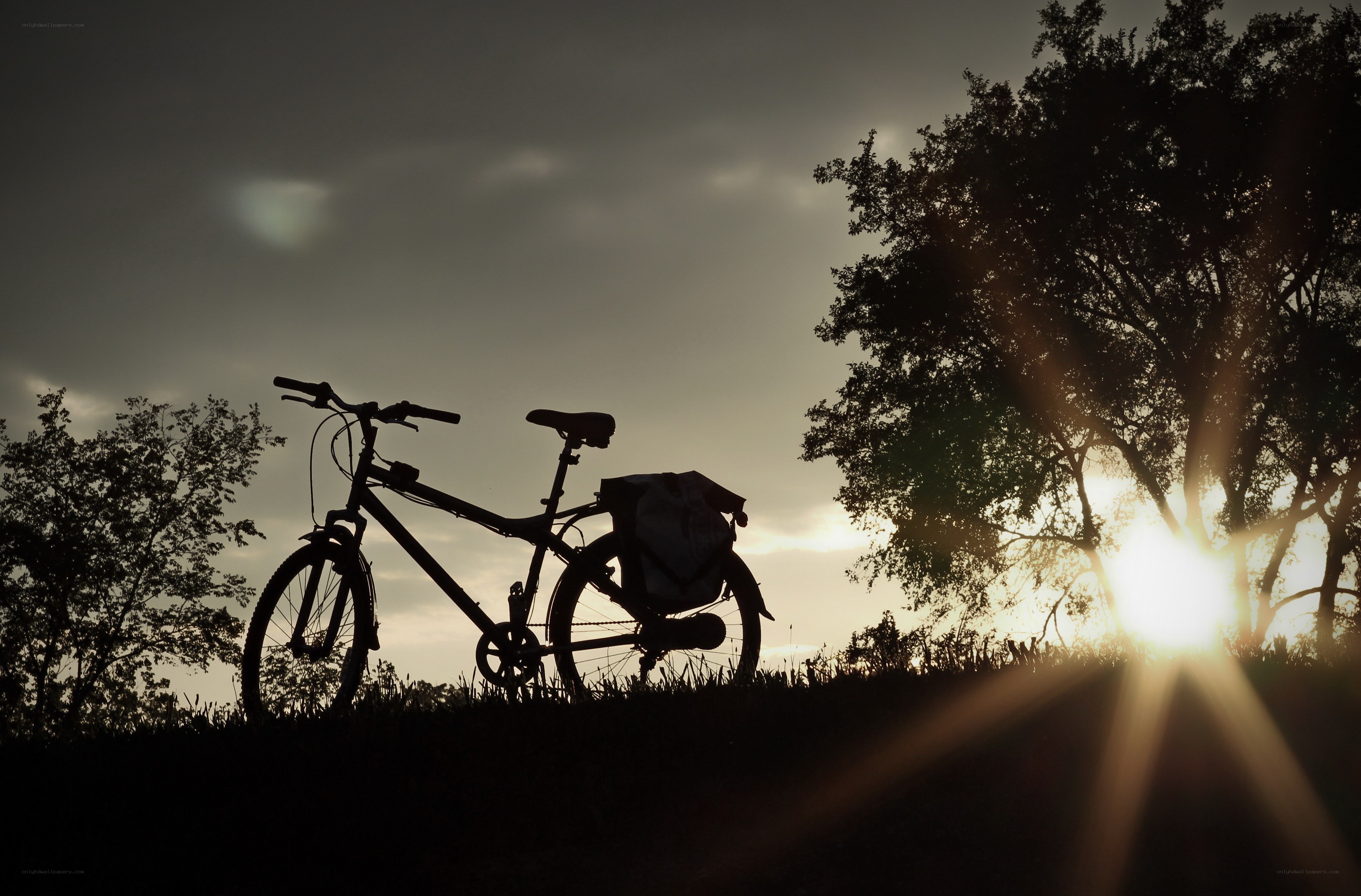 Bicycle at sunset silhouette
