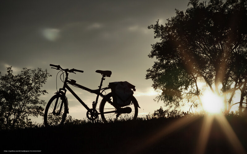 Bicycle at sunset silhouette