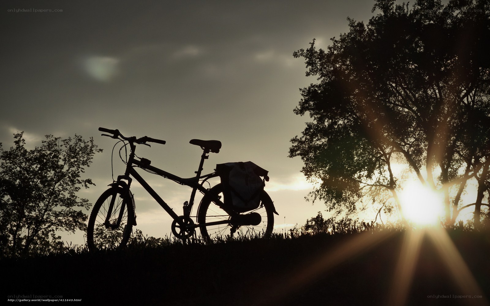 Bicycle at sunset silhouette