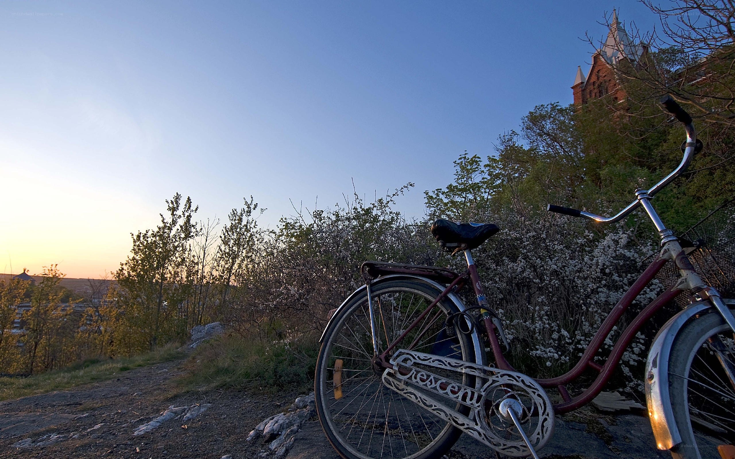 Bicycle at sunset with church