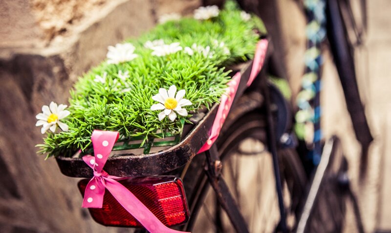 Bicycle Basket with Flowers — Green