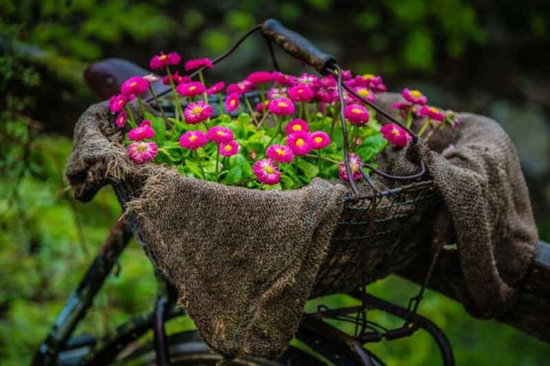 Bicycle Basket with Flowers — Pink