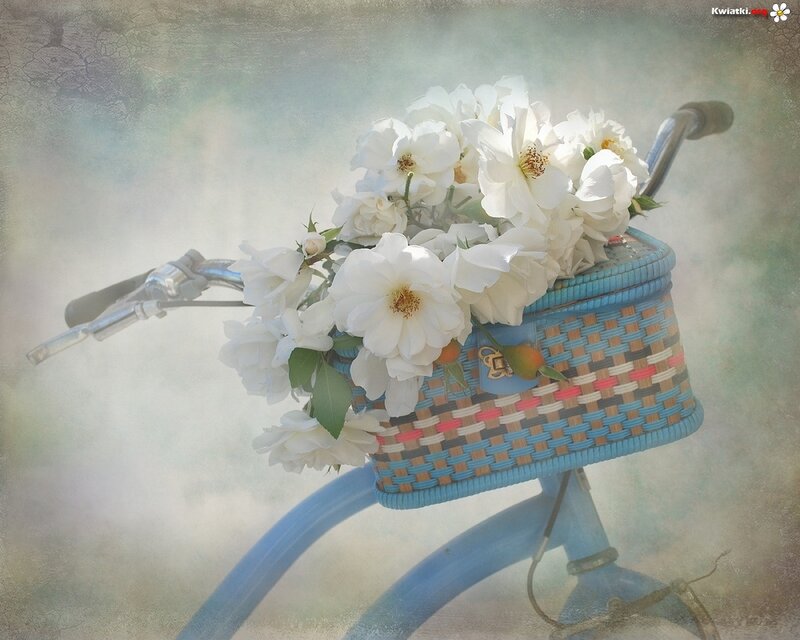 Bicycle Basket with Flowers