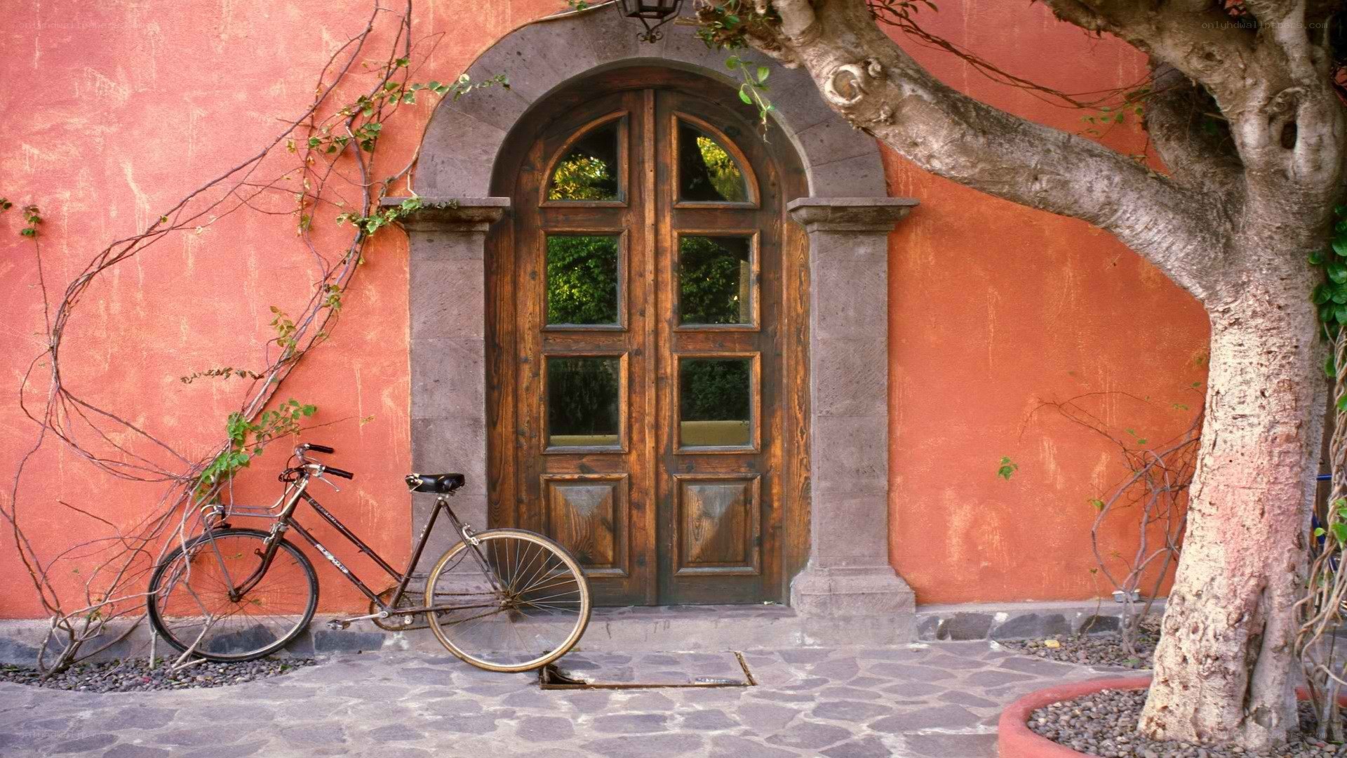 Bicycle by a red-walled door