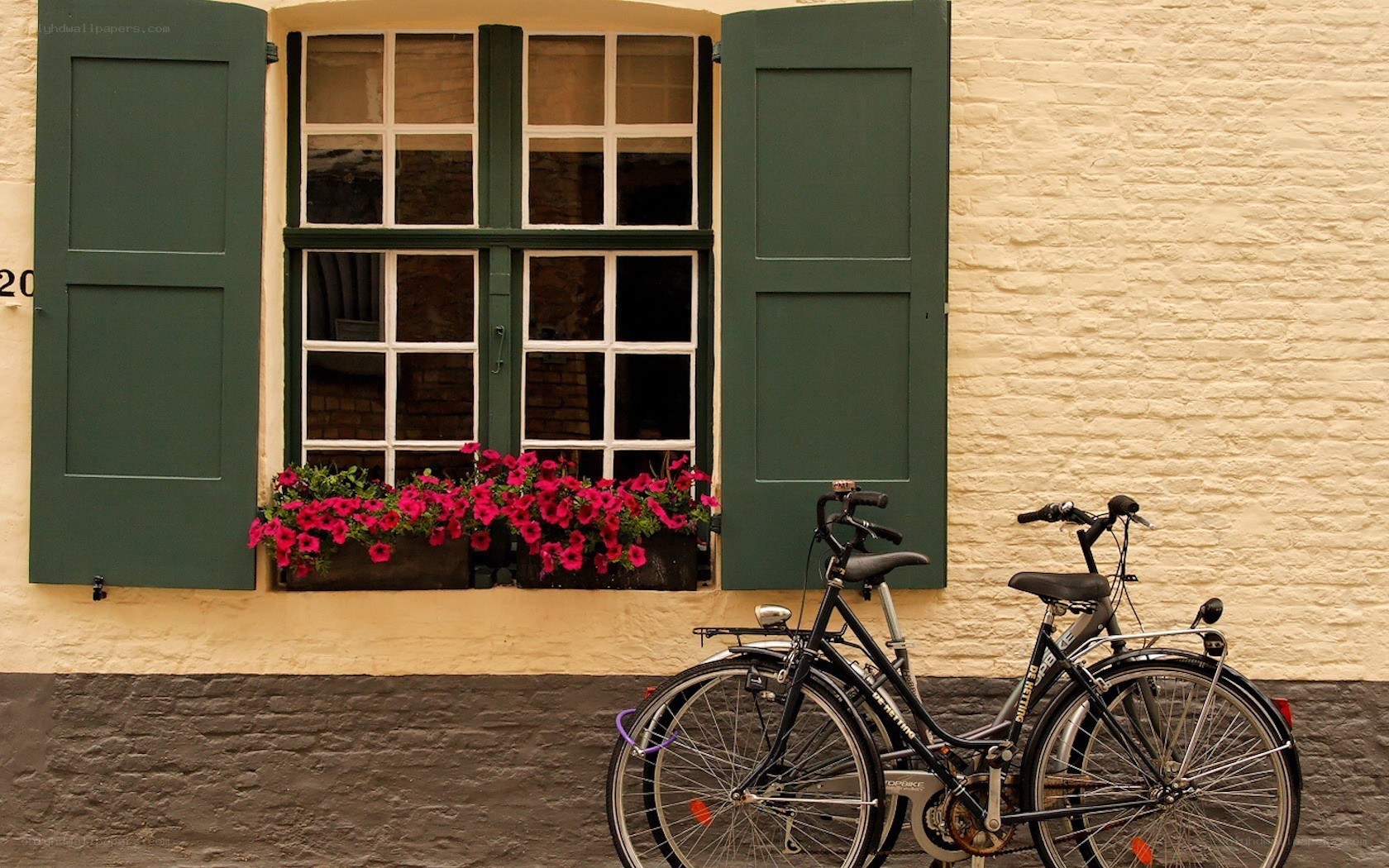 Bicycle by a window with flowers