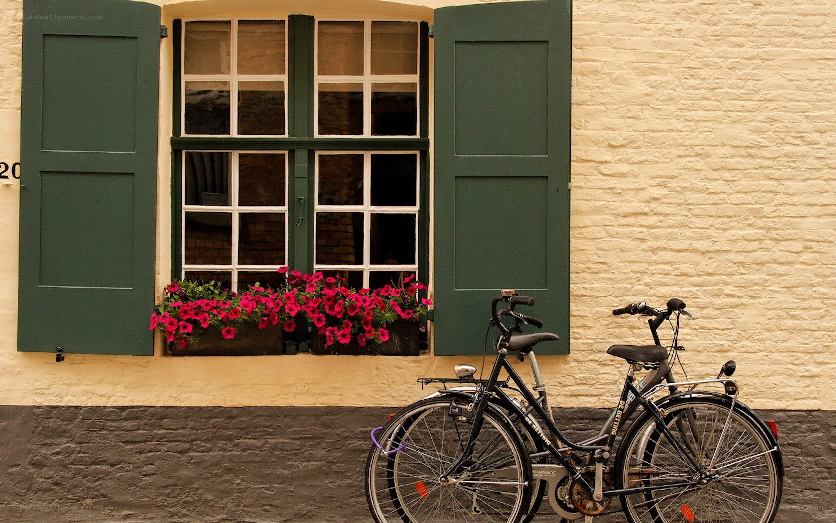 Bicycle by a window with flowers