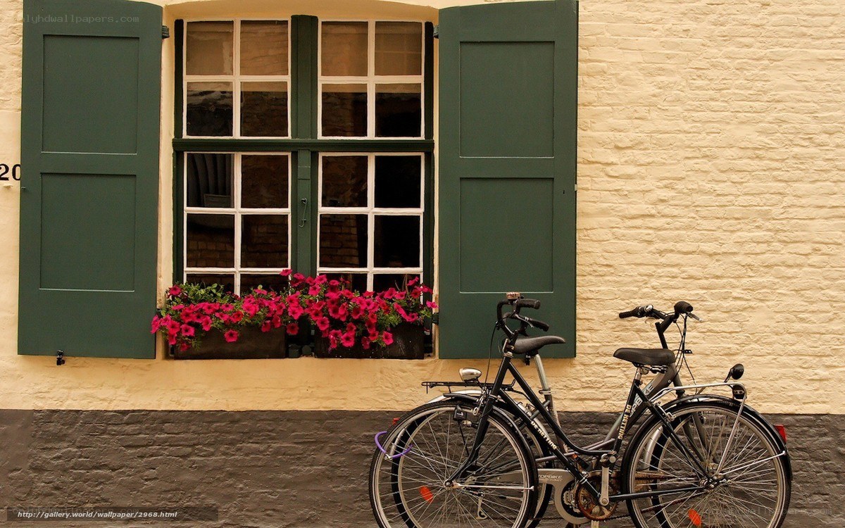 Bicycle by a window with flowers