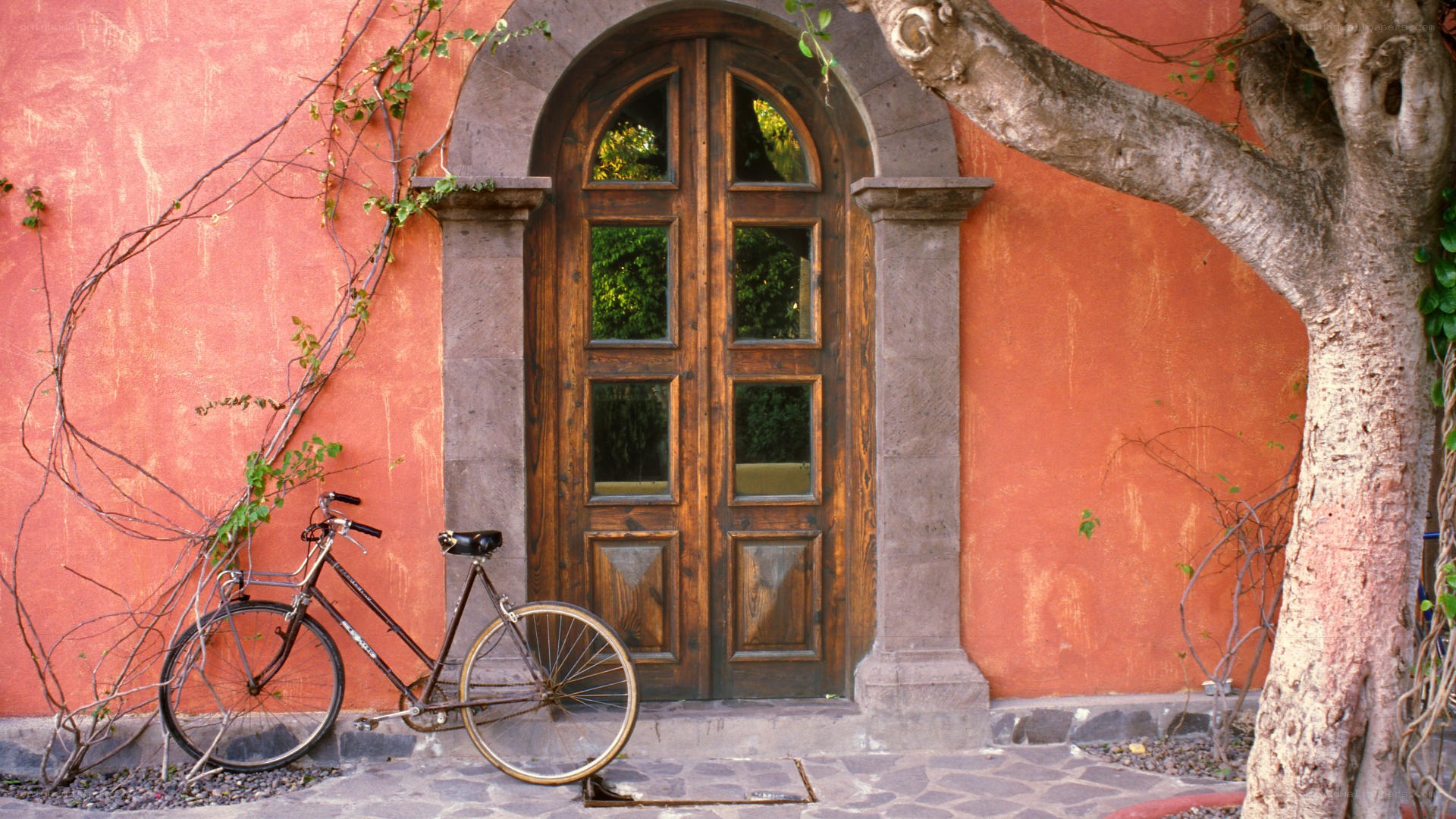 Bicycle by a wooden door
