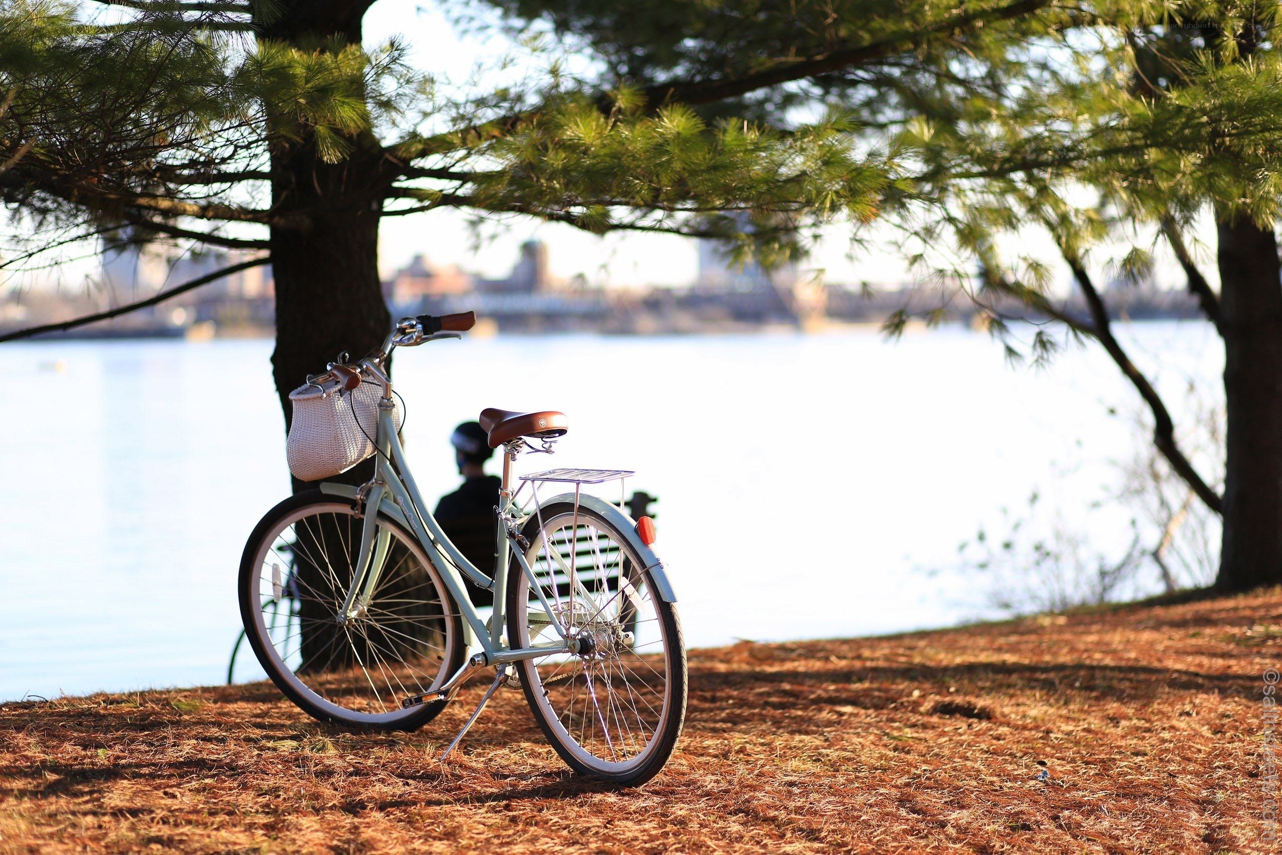 Bicycle by the lake