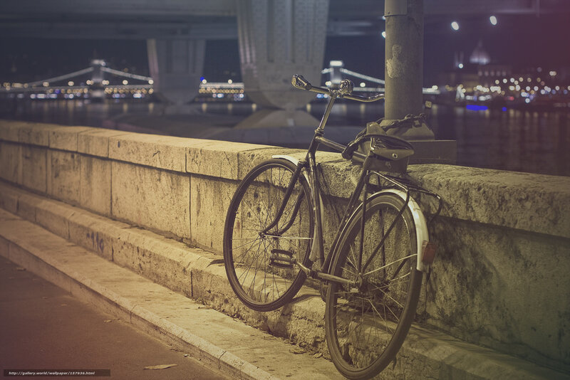 Bicycle by the river at night