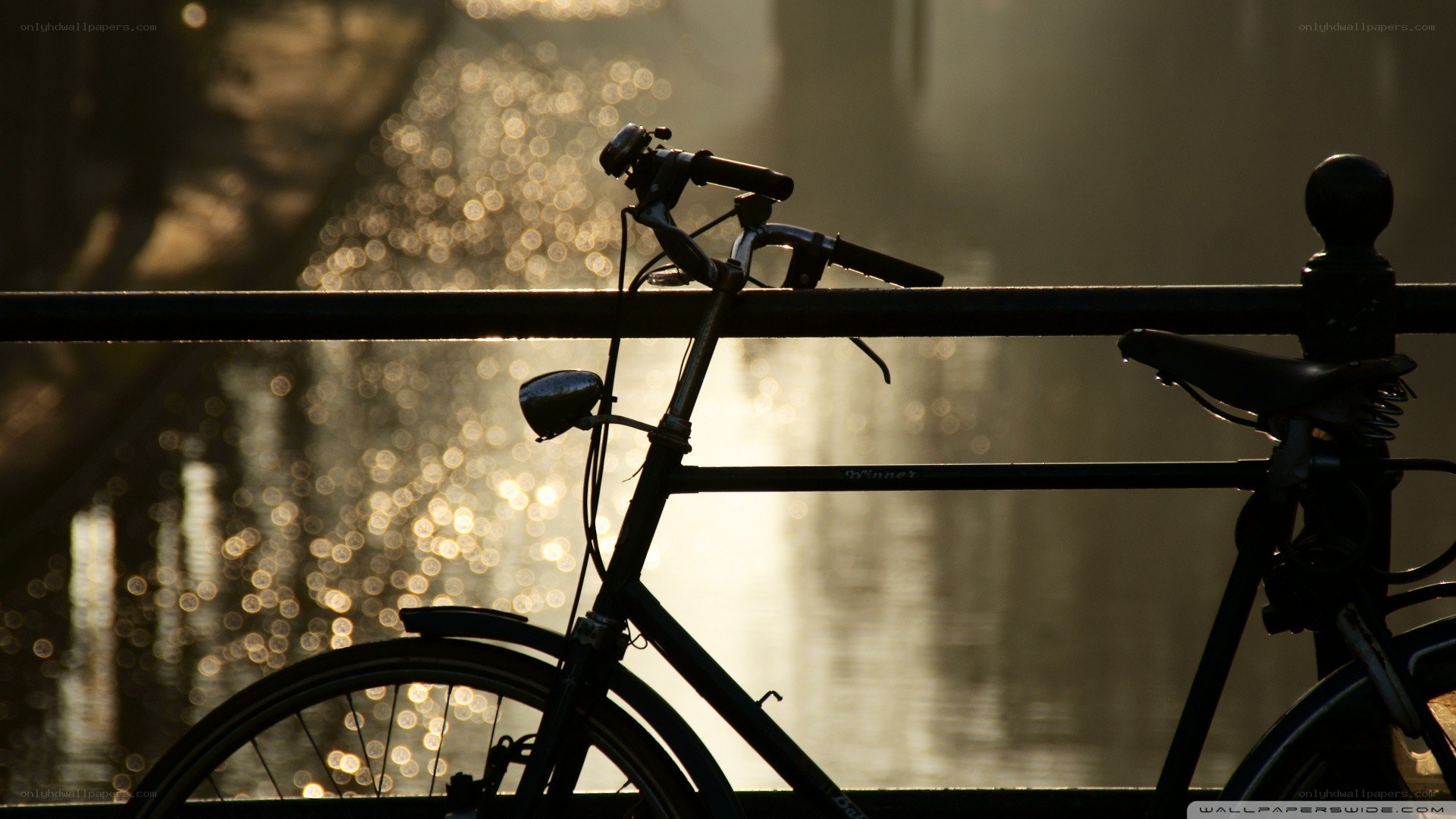Bicycle by the water at sunset