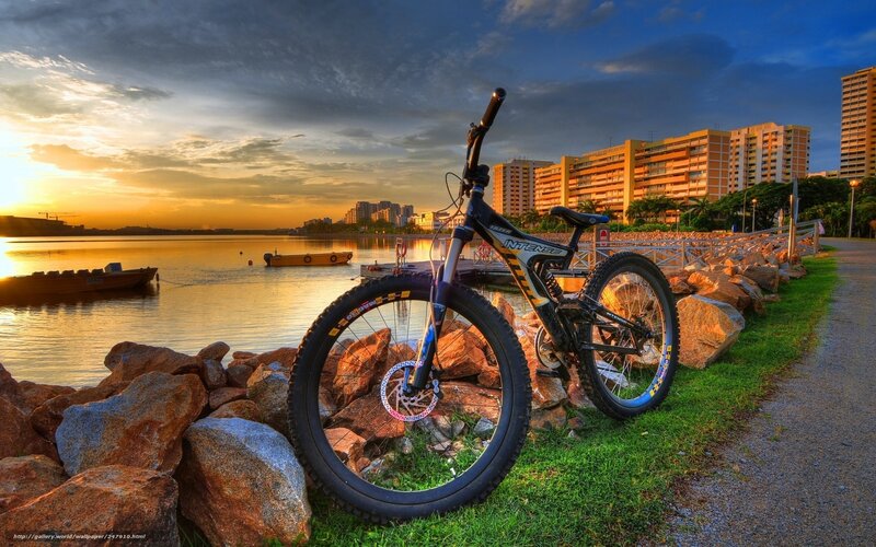 Bicycle by the waterfront at sunset