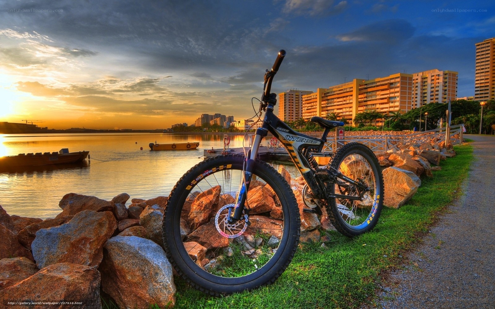 Bicycle by the waterfront at sunset