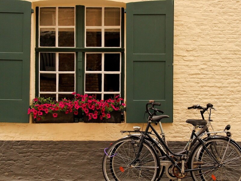 bicycle by window with flowers