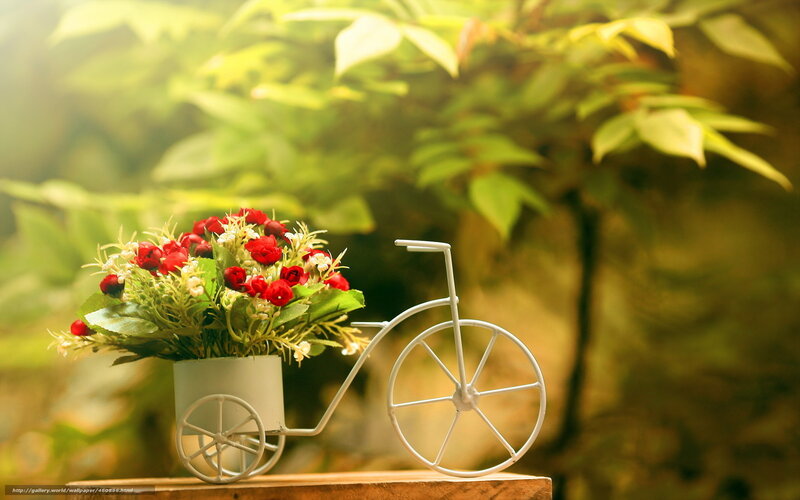 Bicycle Flower Arrangement — Green, Serene