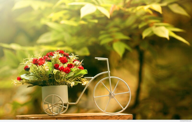 Bicycle Flower Arrangement — Green