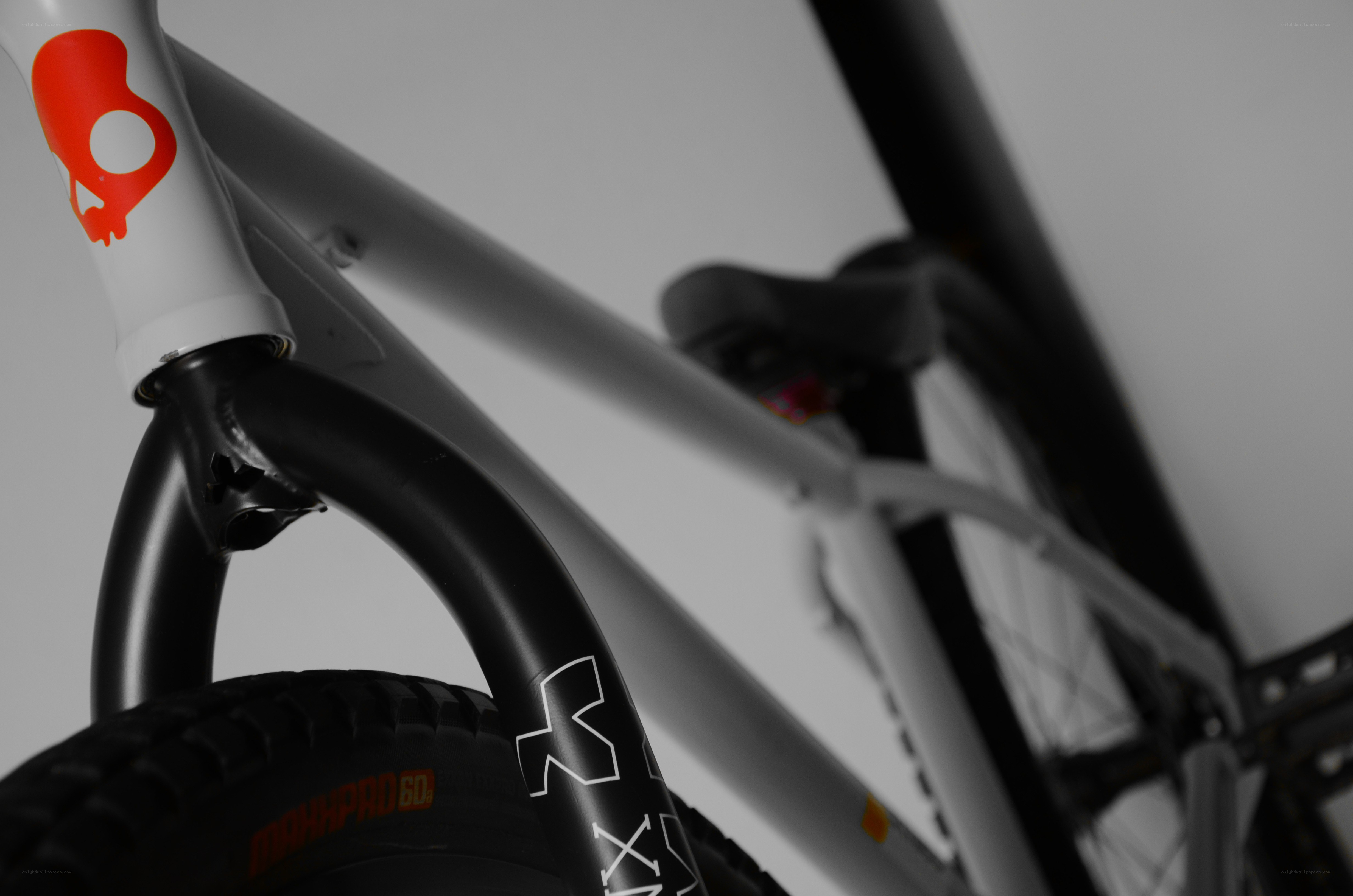 Bicycle frame with skull logo