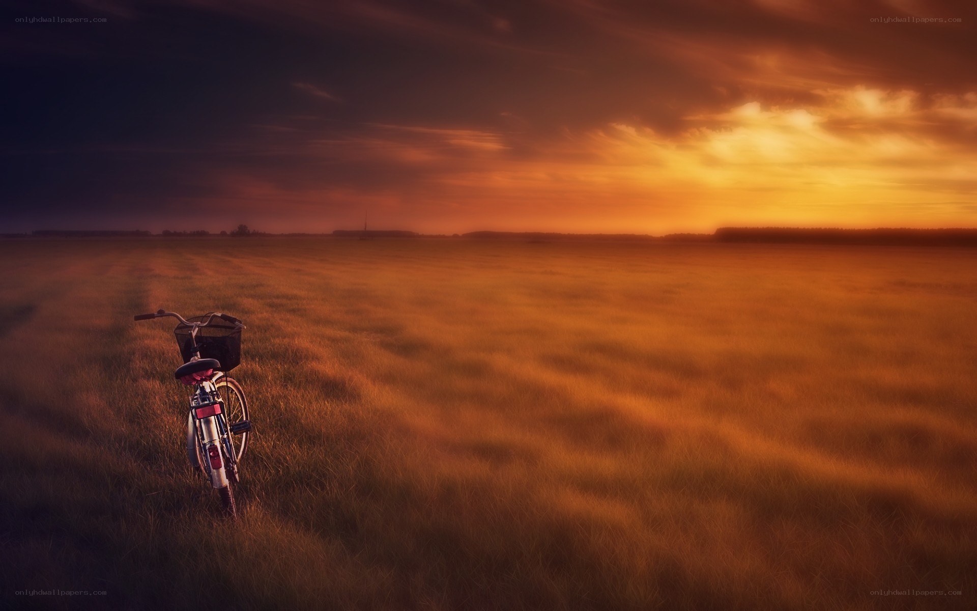 Bicycle in a field at sunset
