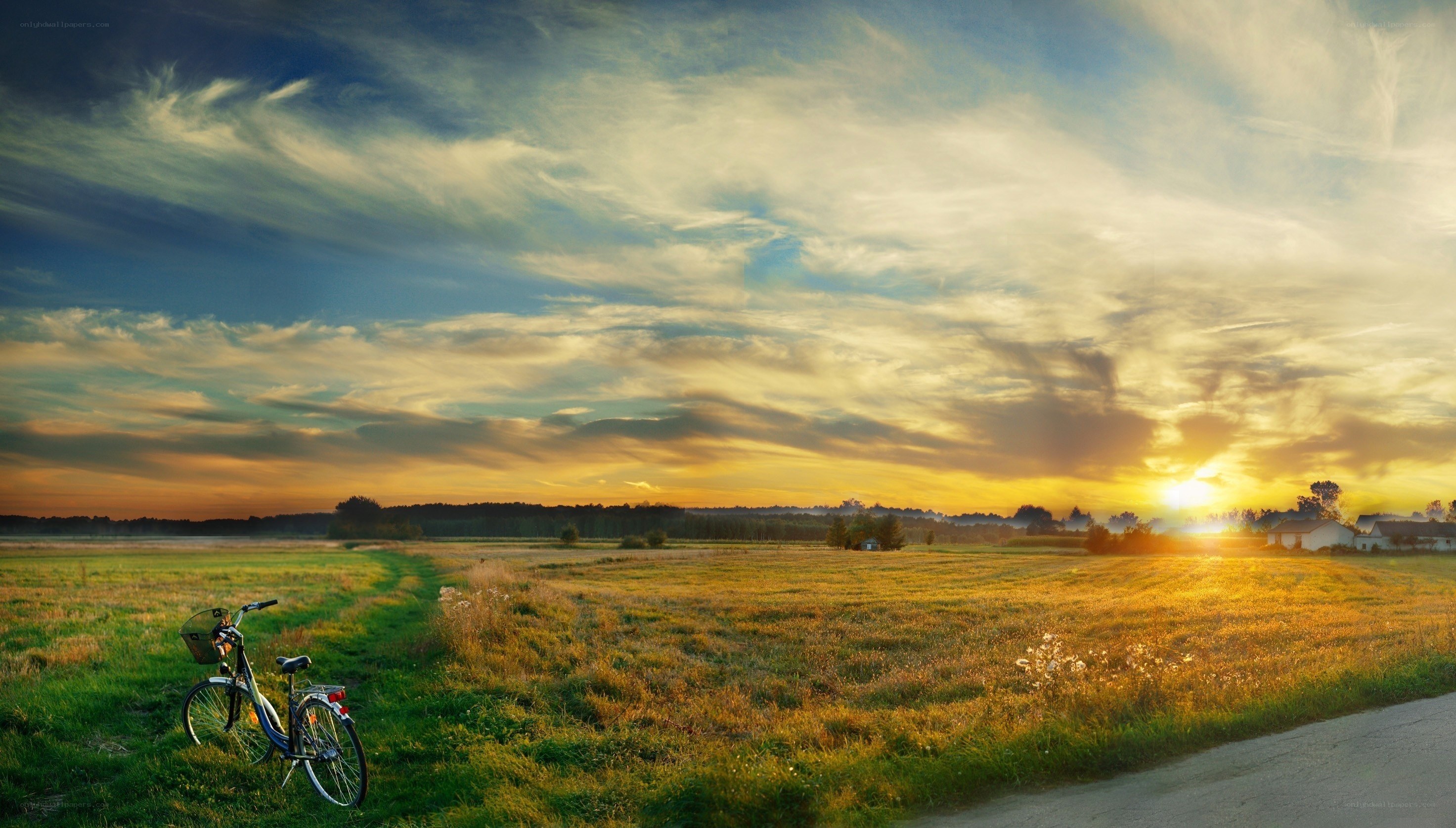 Bicycle in a field at sunset