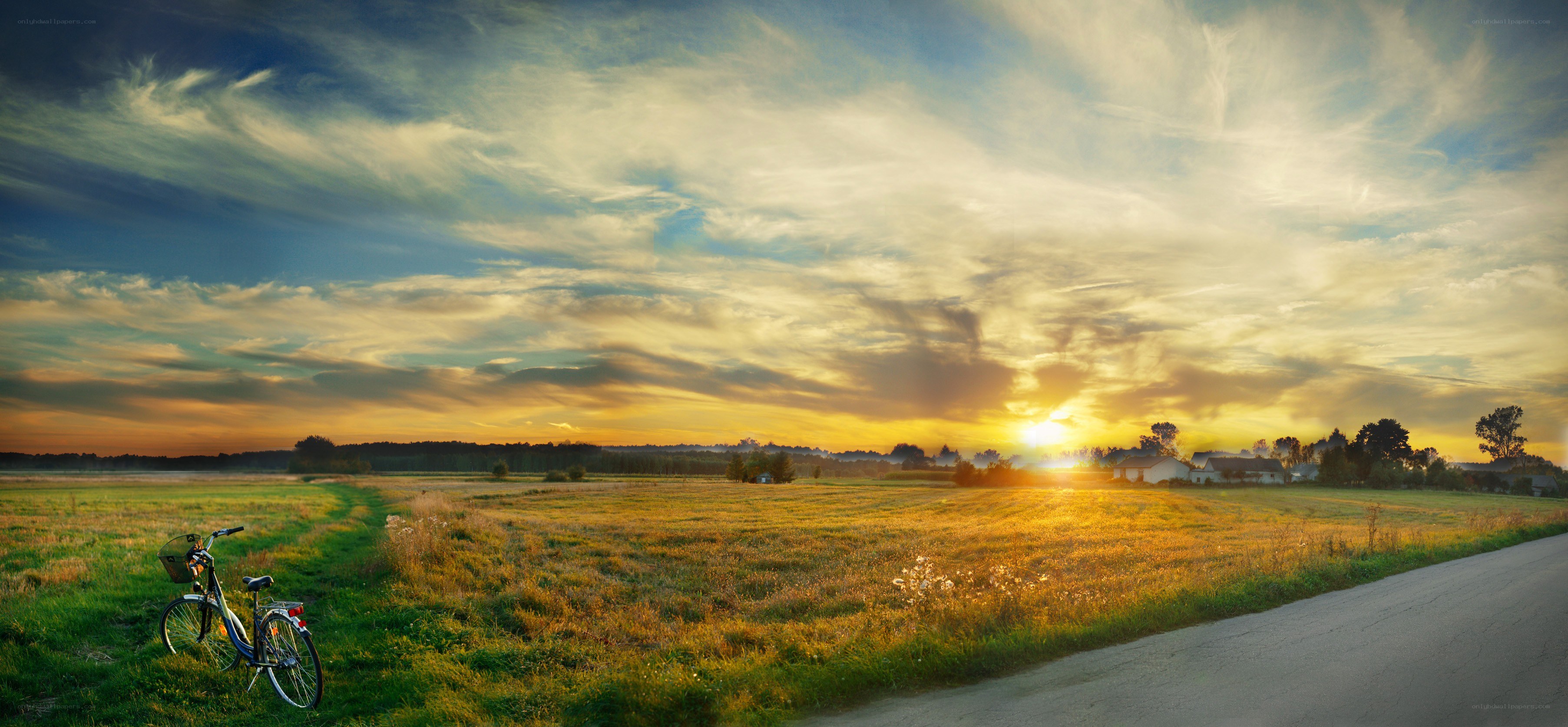 Bicycle in a field at sunset