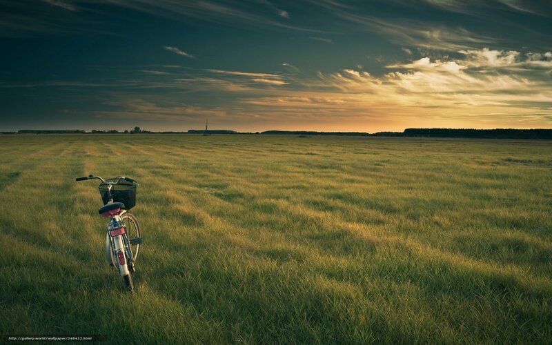 Bicycle in a field at sunset