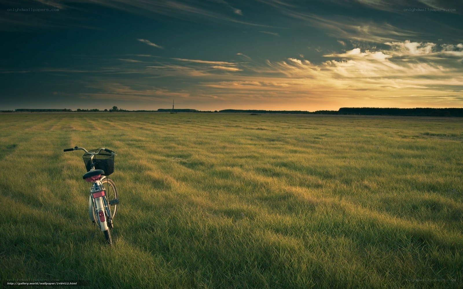 Bicycle in a field at sunset