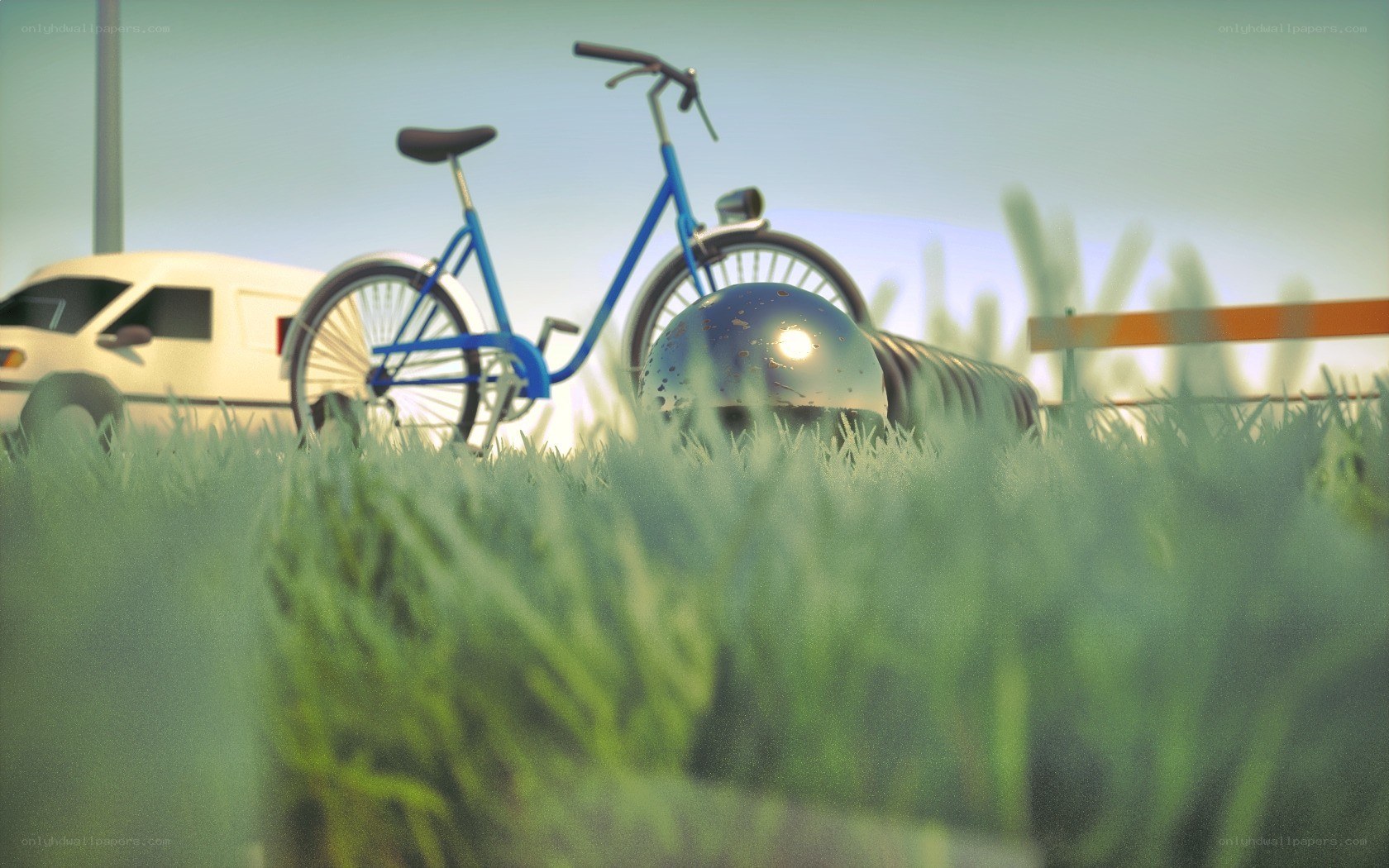 Bicycle in a grassy field