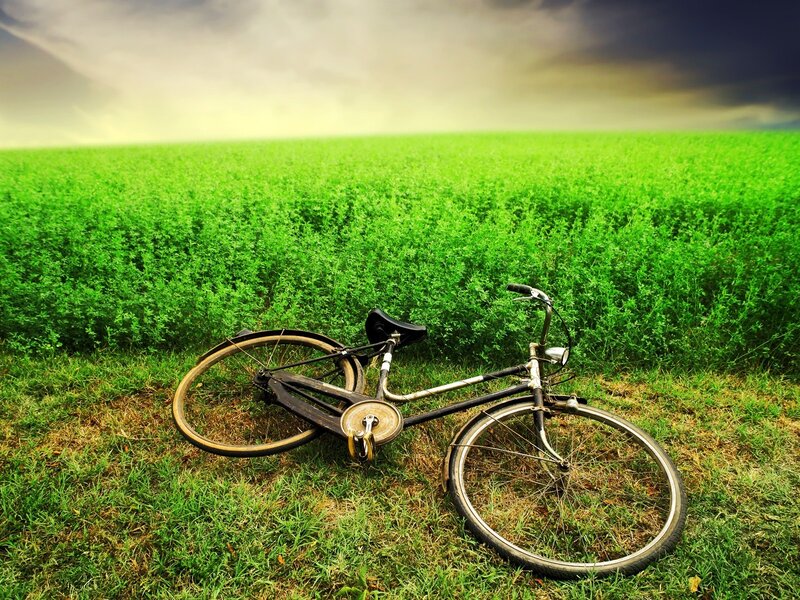 Bicycle in a green field