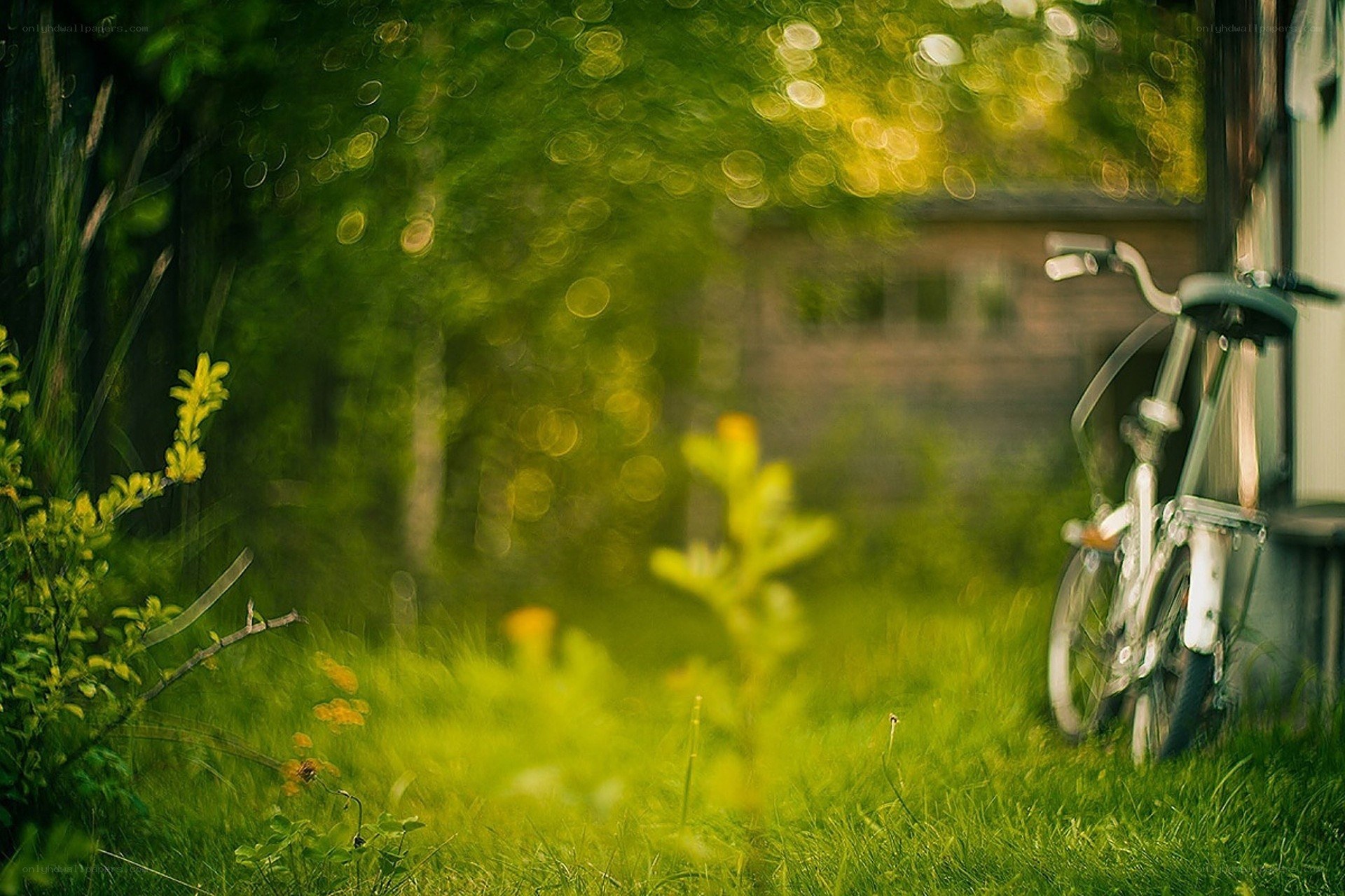 Bicycle in a green garden