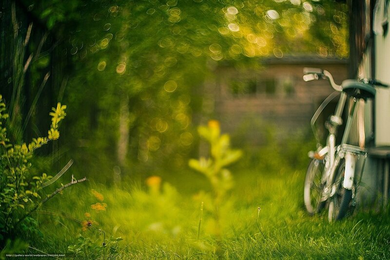Bicycle in a green garden