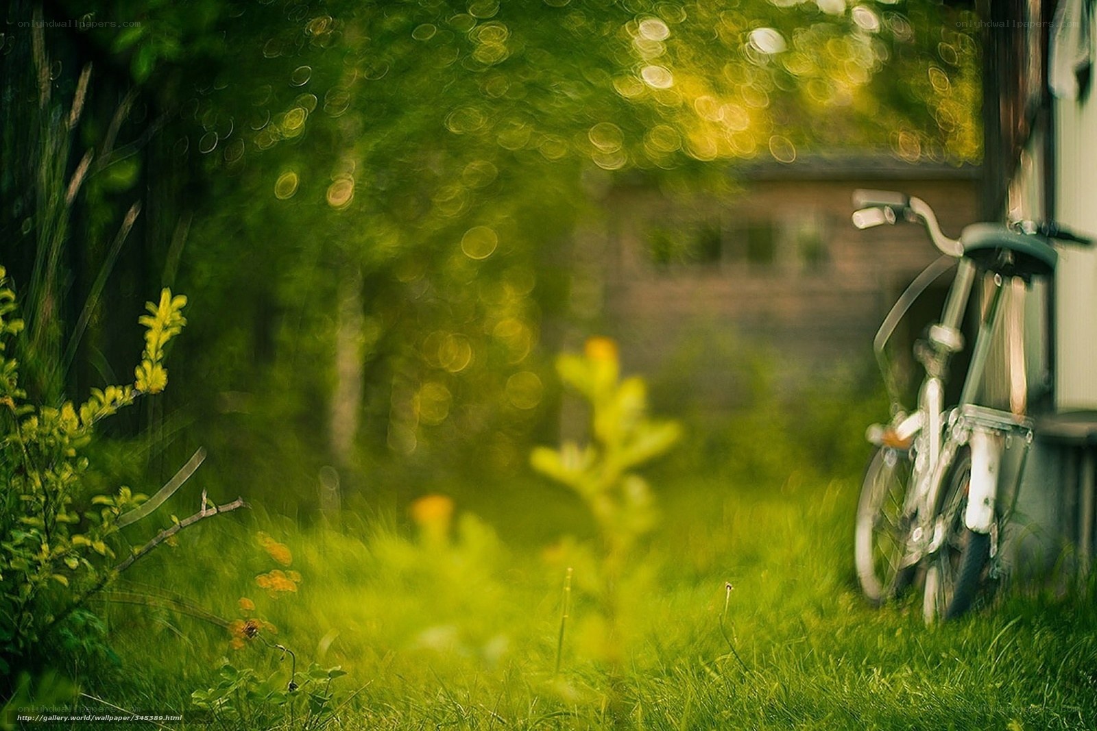 Bicycle in a green garden
