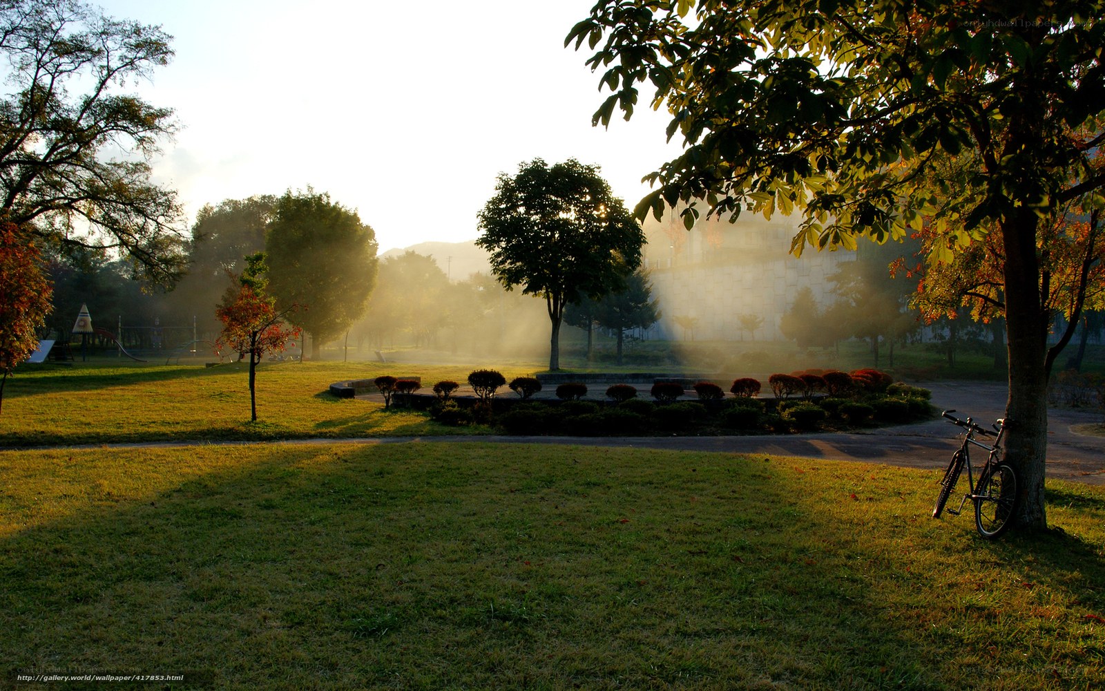 Bicycle in a misty park