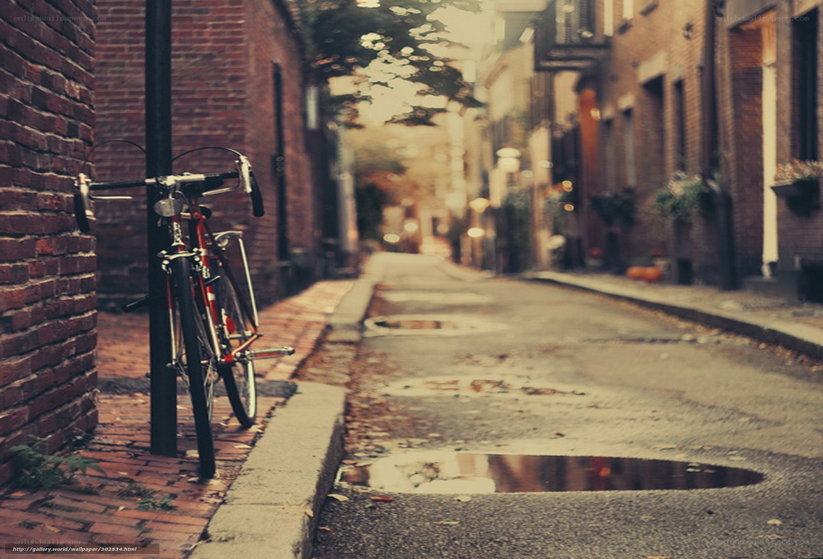 Bicycle in a quiet alley