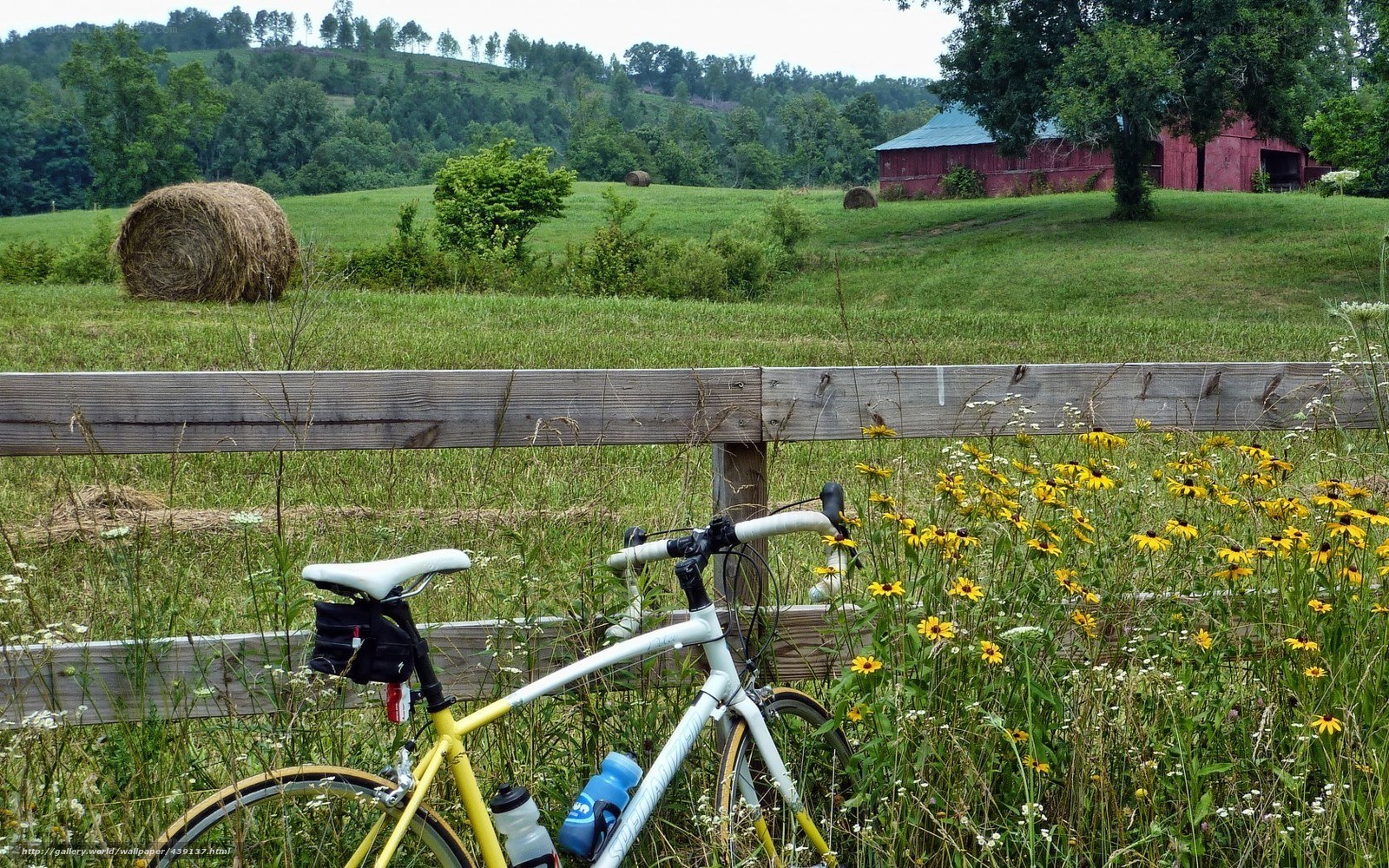 Bicycle in a rural field