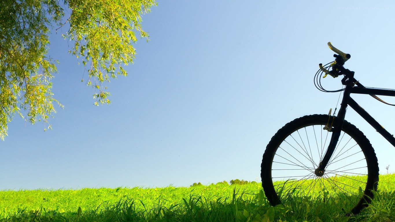Bicycle in a sunny meadow