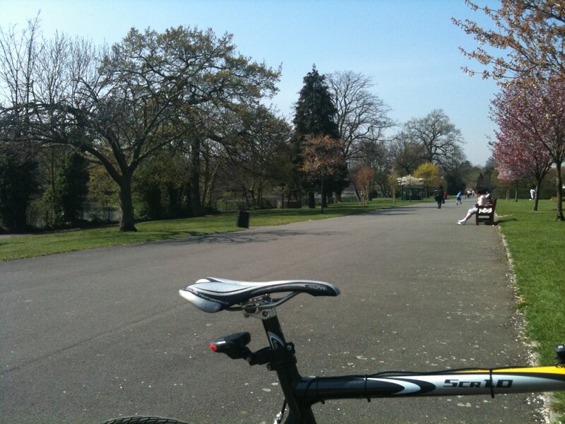 Bicycle in a sunny park