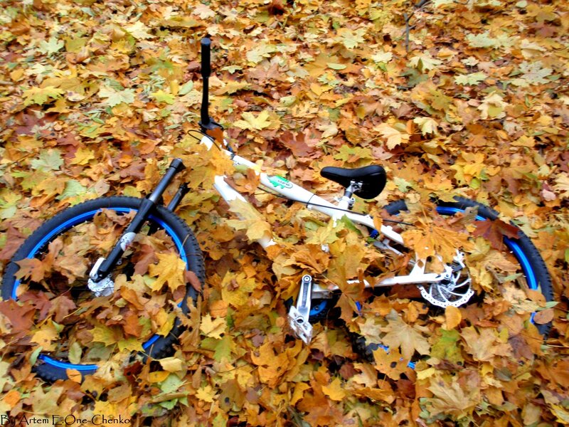 Bicycle in autumn leaves