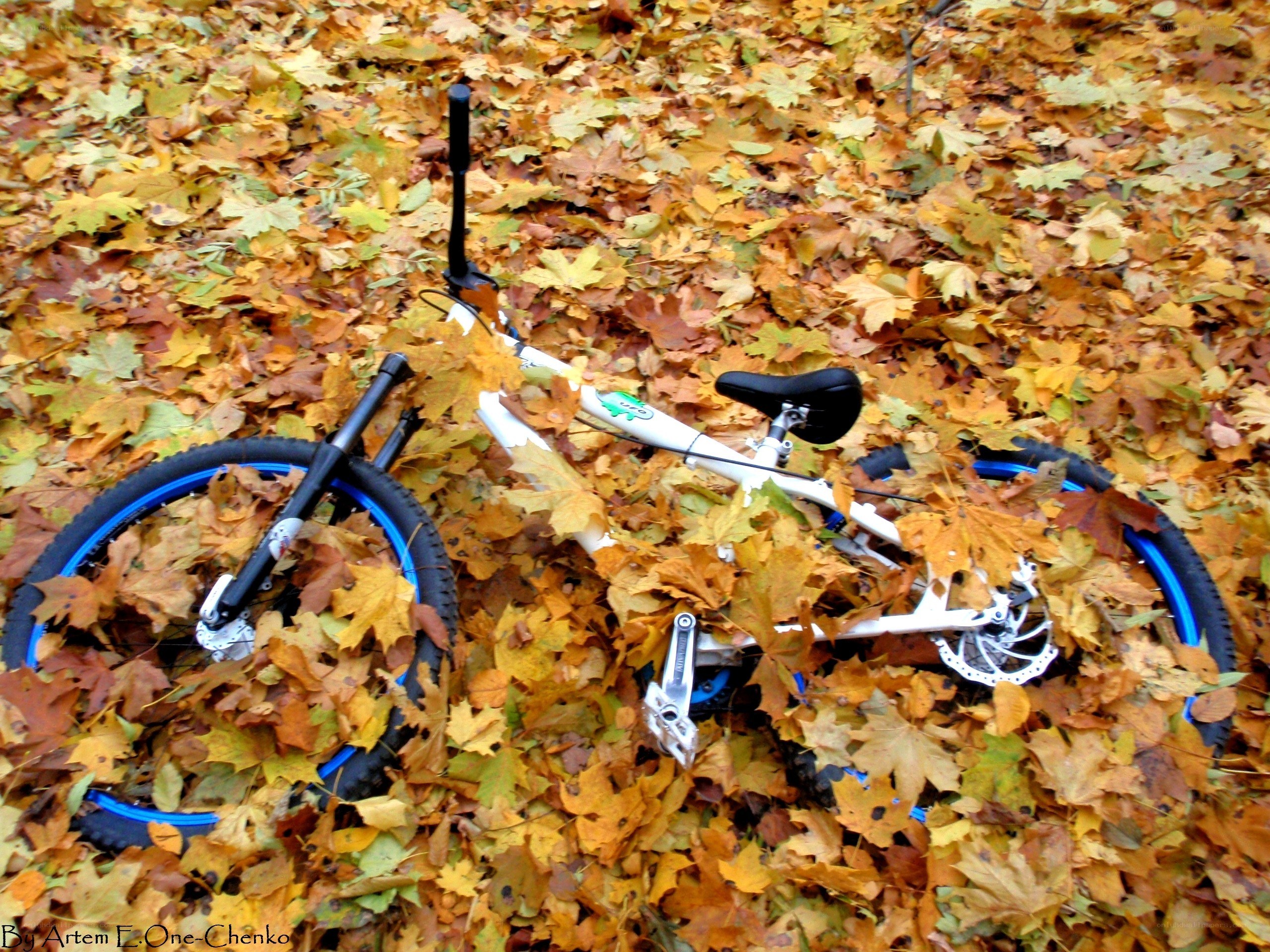 Bicycle in autumn leaves