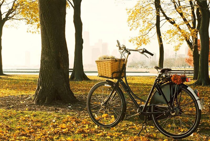 Bicycle in Autumn Park