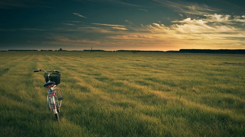 Bicycle in Field — Green