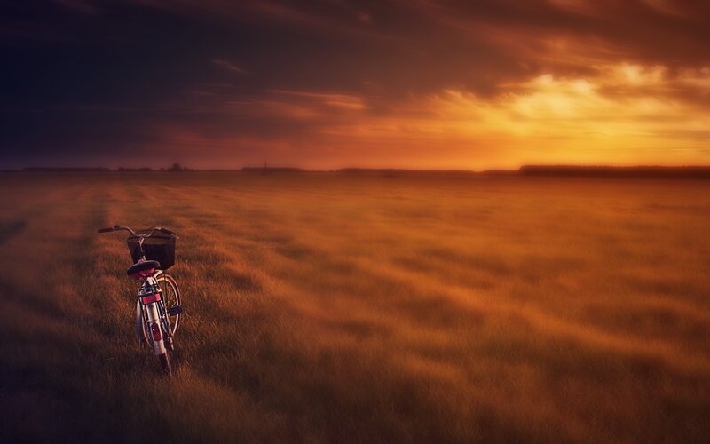 Bicycle in Field — Orange, Dramatic