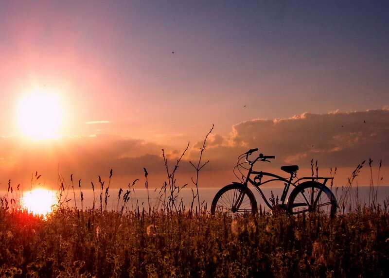 Bicycle in Field