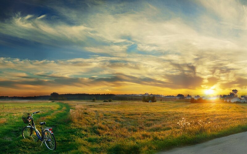 Bicycle in Field — Yellow, Serene, Sunset, Photograph