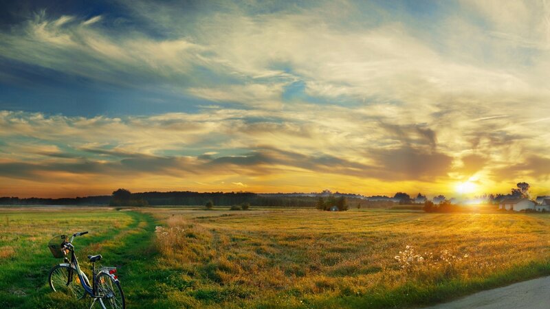 Bicycle in Field — Yellow, Serene, Sunset
