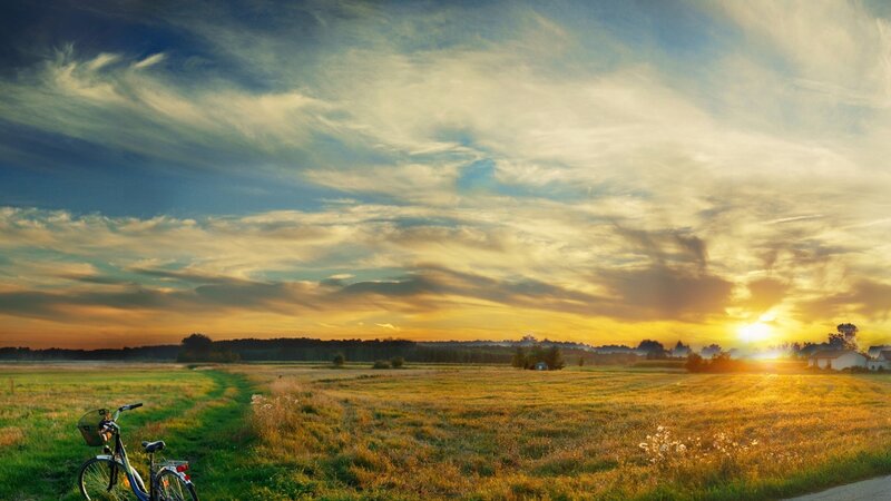 Bicycle in Field — Yellow, Serene