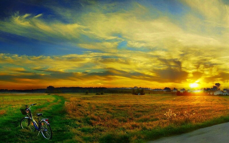 Bicycle in Field — Yellow