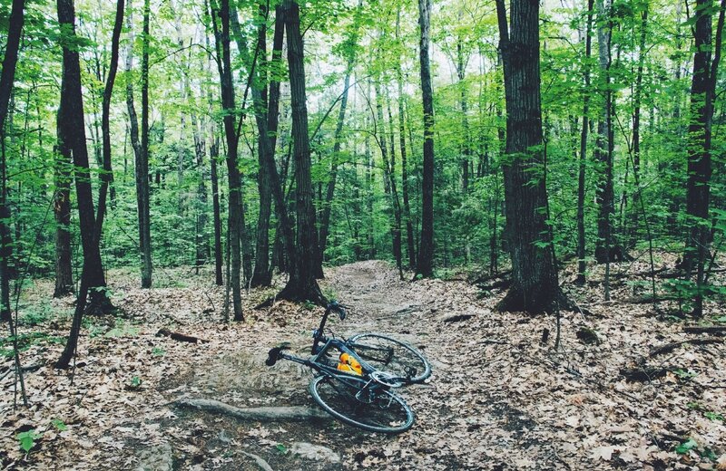 Bicycle in Forest — Green, Serene
