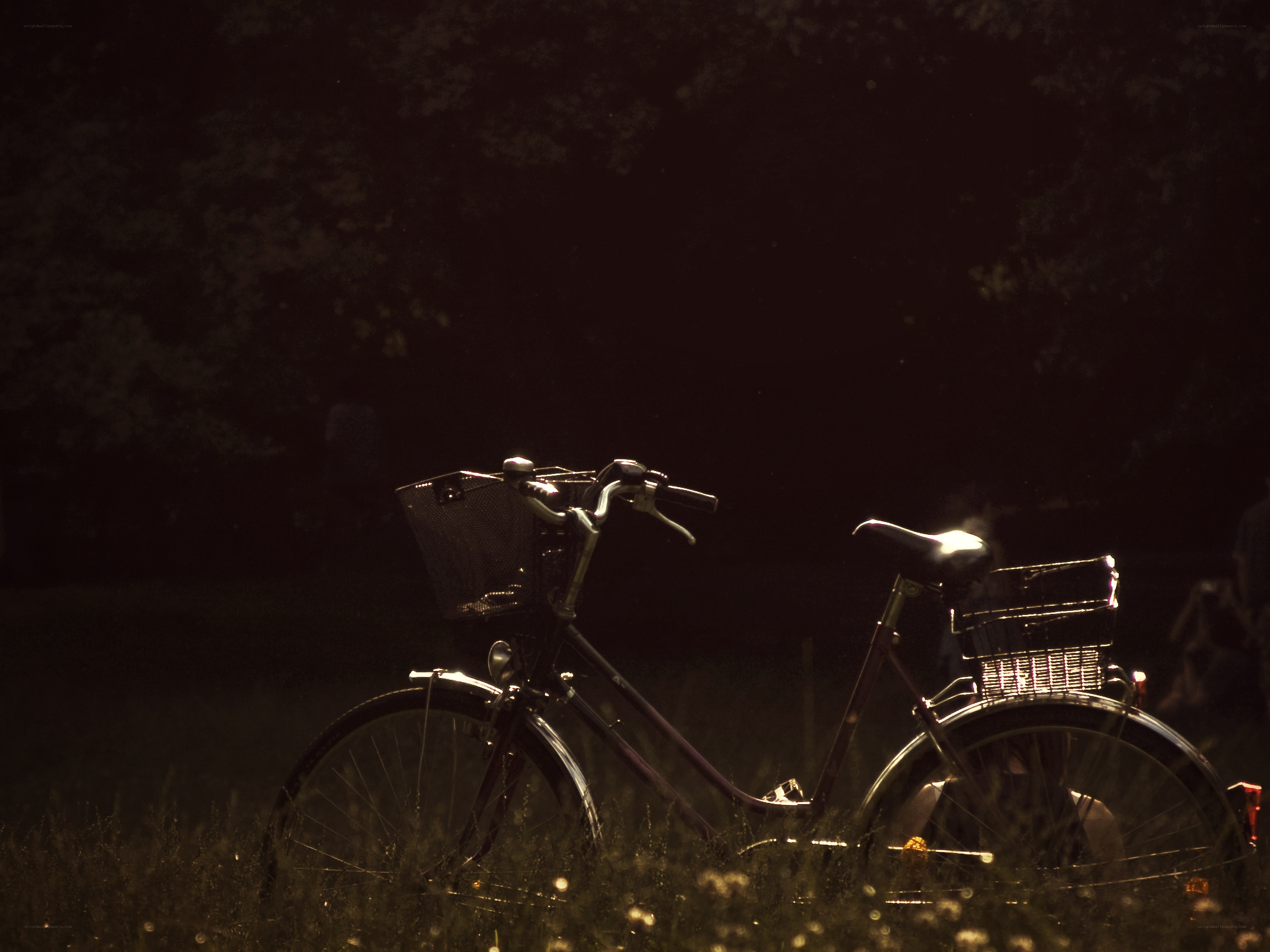 Bicycle in golden light