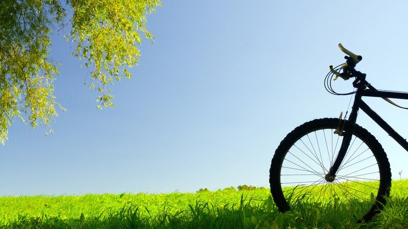 Bicycle in Grass — Green, Serene, Afternoon