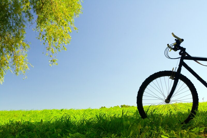 Bicycle in Grass — Green